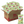 Load image into Gallery viewer, Herr's Creamy Dill Pickle Ripple Potato Chips 2.5oz bag 24ct case
